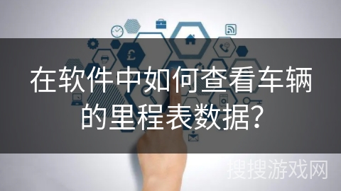 在软件中如何查看车辆的里程表数据？
