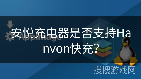 安悦充电器是否支持Hanvon快充？