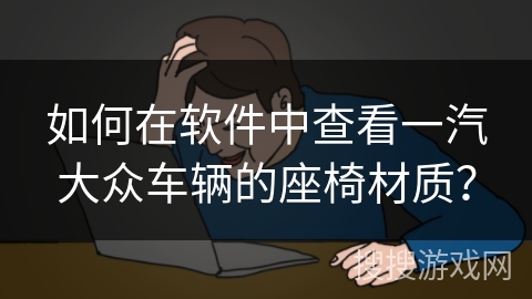 如何在软件中查看一汽大众车辆的座椅材质？