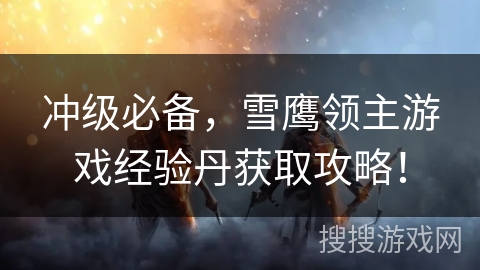 冲级必备，雪鹰领主游戏经验丹获取攻略！