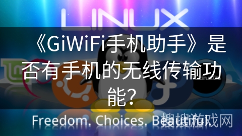 《GiWiFi手机助手》是否有手机的无线传输功能？