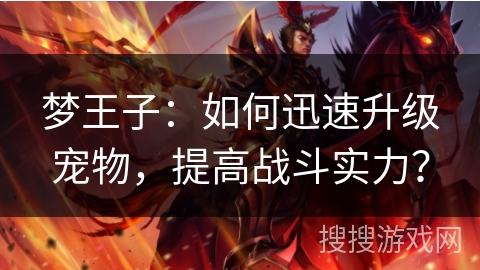 梦王子：如何迅速升级宠物，提高战斗实力？