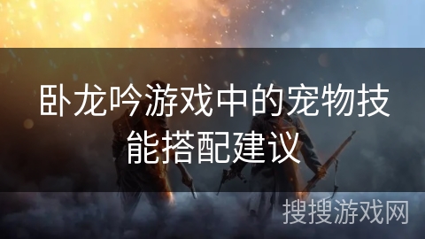 卧龙吟游戏中的宠物技能搭配建议