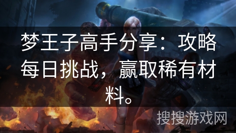 梦王子高手分享：攻略每日挑战，赢取稀有材料。