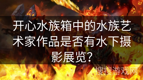开心水族箱中的水族艺术家作品是否有水下摄影展览？