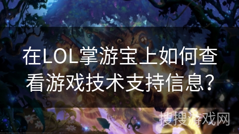 在LOL掌游宝上如何查看游戏技术支持信息？