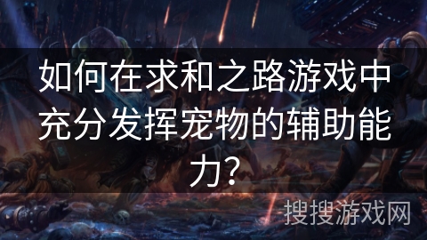 如何在求和之路游戏中充分发挥宠物的辅助能力？