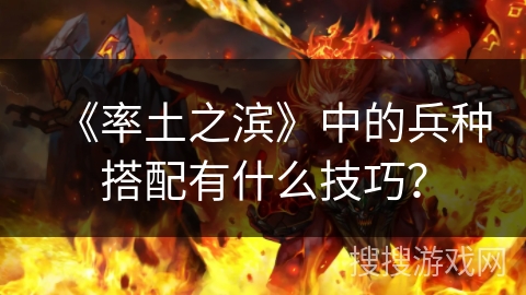 《率土之滨》中的兵种搭配有什么技巧？