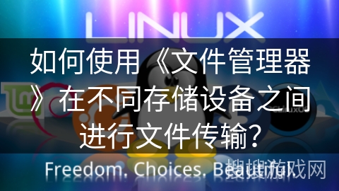 如何使用《文件管理器》在不同存储设备之间进行文件传输？
