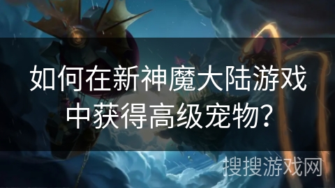 如何在新神魔大陆游戏中获得高级宠物？
