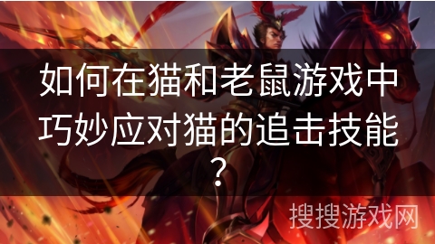 如何在猫和老鼠游戏中巧妙应对猫的追击技能？