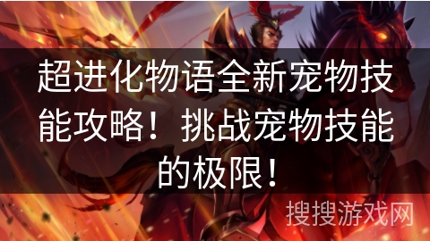 超进化物语全新宠物技能攻略！挑战宠物技能的极限！