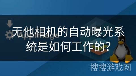 无他相机的自动曝光系统是如何工作的? 无他相机的自动曝光系统是如何工作的?