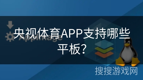 央视体育APP支持哪些平板？