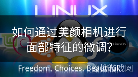 如何通过美颜相机进行面部特征的微调？