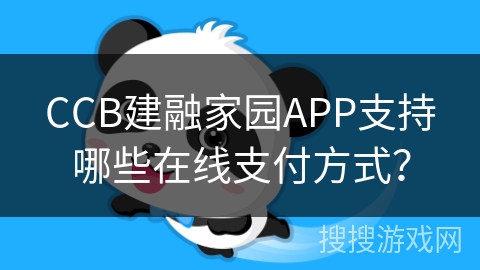 CCB建融家园APP支持哪些在线支付方式？