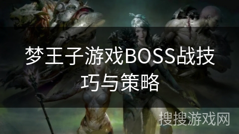 梦王子游戏BOSS战技巧与策略