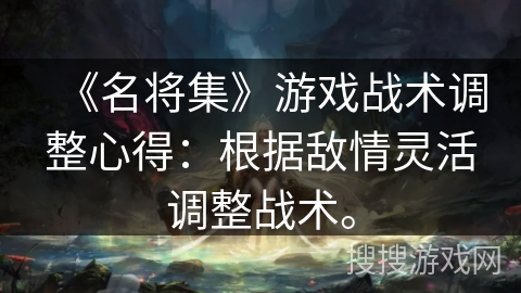 《名将集》游戏战术调整心得：根据敌情灵活调整战术。