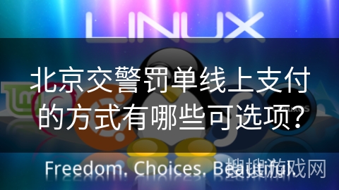 北京交警罚单线上支付的方式有哪些可选项？