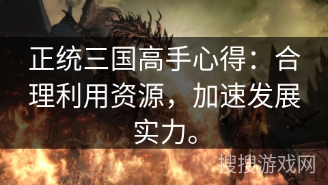 正统三国高手心得：合理利用资源，加速发展实力。