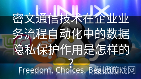 密文通信技术在企业业务流程自动化中的数据隐私保护作用是怎样的？