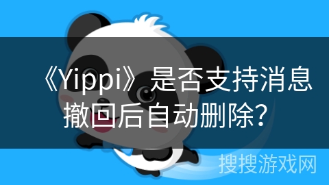 《Yippi》是否支持消息撤回后自动删除？