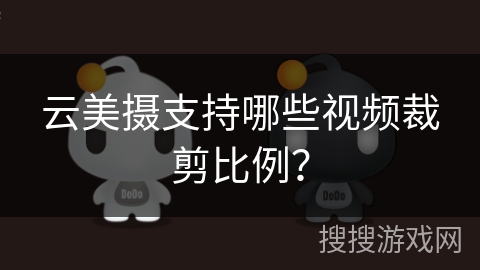 云美摄支持哪些视频裁剪比例？