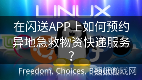 在闪送APP上如何预约异地急救物资快递服务？
