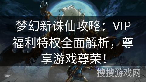 梦幻新诛仙攻略：VIP福利特权全面解析，尊享游戏尊荣！