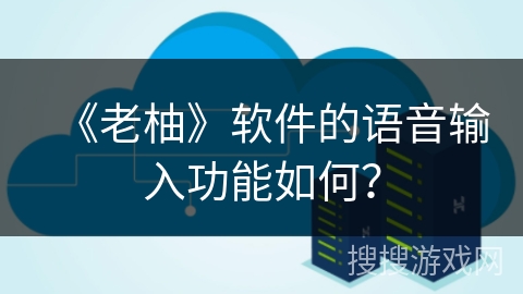 《老柚》软件的语音输入功能如何? 《老柚》软件的语音输入功能如何?
