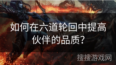 如何在六道轮回中提高伙伴的品质？