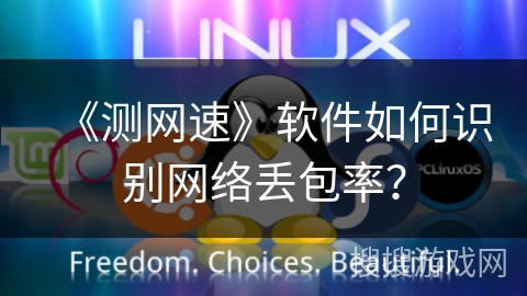 《测网速》软件如何识别网络丢包率？
