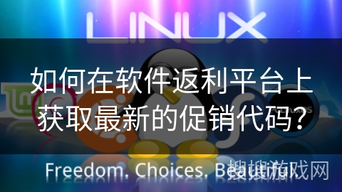 如何在软件返利平台上获取最新的促销代码？