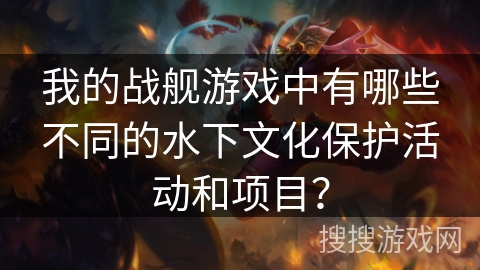 我的战舰游戏中有哪些不同的水下文化保护活动和项目？
