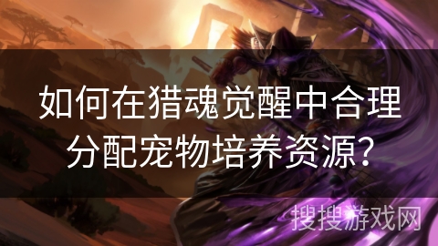 如何在猎魂觉醒中合理分配宠物培养资源？