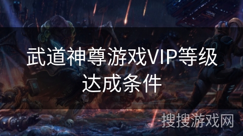 武道神尊游戏VIP等级达成条件