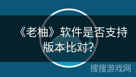 《老柚》软件是否支持版本比对？