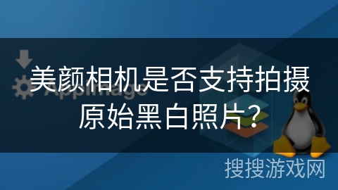美颜相机是否支持拍摄原始黑白照片？