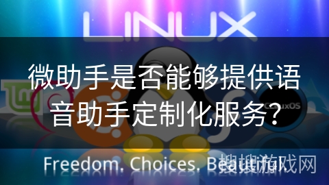 微助手是否能够提供语音助手定制化服务？