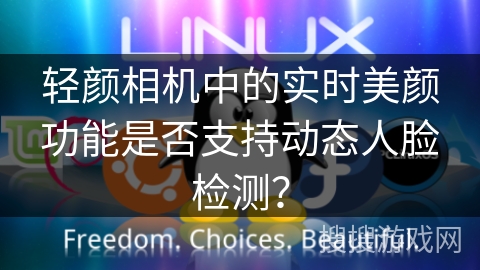 轻颜相机中的实时美颜功能是否支持动态人脸检测？