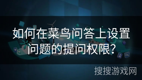 如何在菜鸟问答上设置问题的提问权限？