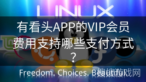 有看头APP的VIP会员费用支持哪些支付方式？