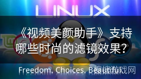 《视频美颜助手》支持哪些时尚的滤镜效果？