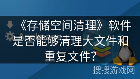 《存储空间清理》软件是否能够清理大文件和重复文件？