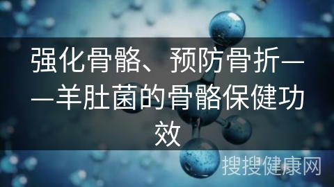 强化骨骼、预防骨折——羊肚菌的骨骼保健功效