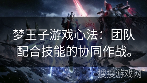 梦王子游戏心法：团队配合技能的协同作战。