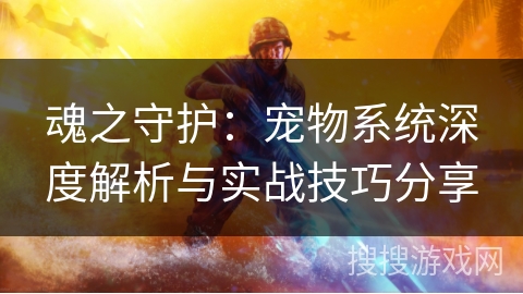 魂之守护：宠物系统深度解析与实战技巧分享