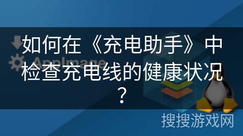 如何在《充电助手》中检查充电线的健康状况？