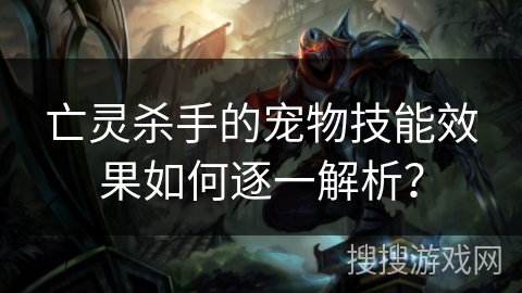 亡灵杀手的宠物技能效果如何逐一解析？