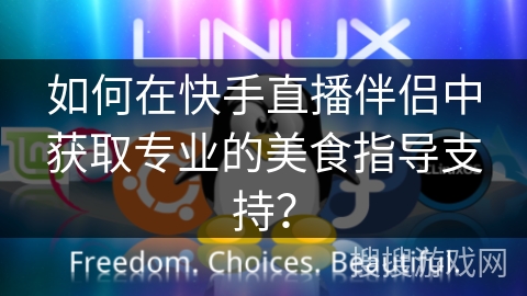 如何在快手直播伴侣中获取专业的美食指导支持？